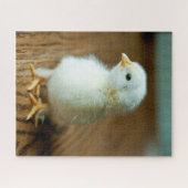 Niedliche Kleintiere | Baby Chick Puzzle (Horizontal)