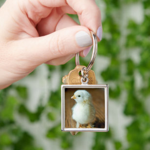 Niedliche Kleintiere Baby Chick Schlüsselanhänger