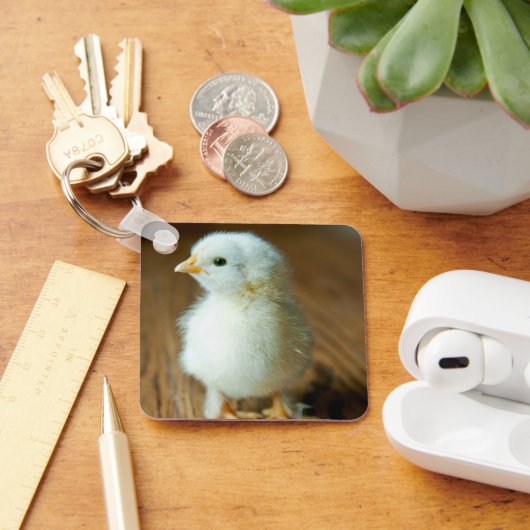 Niedliche Kleintiere | Baby Chick Schlüsselanhänger (Schreibtisch)