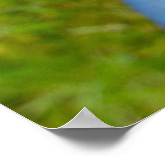 Niedliche Kleintiere | Baby Corgi in My Lap Poster (Ecke)