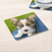 Niedliche Kleintiere | Baby Corgi in My Lap Rechteckiger Pappuntersetzer (angewinkelt)