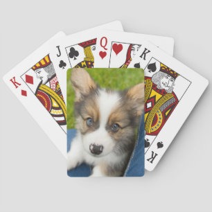 Niedliche Kleintiere   Baby Corgi in My Lap Spielkarten