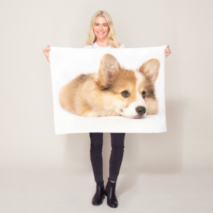 Niedliche Kleintiere   Baby Corgi Puppy Portrait Fleecedecke