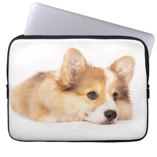 Niedliche Kleintiere Baby Corgi Puppy Portrait Laptopschutzhülle