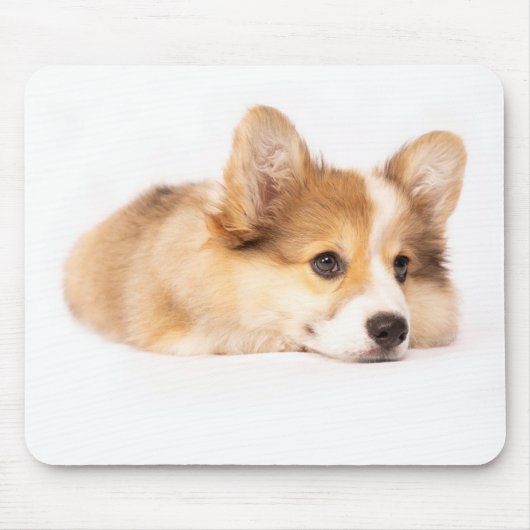 Niedliche Kleintiere | Baby Corgi Puppy Portrait Mousepad (Vorne)