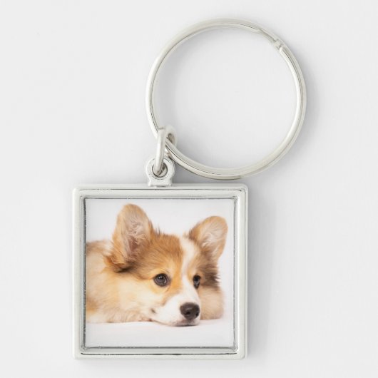 Niedliche Kleintiere | Baby Corgi Puppy Portrait Schlüsselanhänger (Vorne)