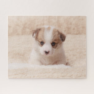 Niedliche Kleintiere Baby Corgi Puzzle