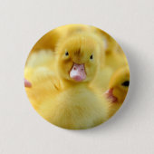 Niedliche Kleintiere | Baby Duck Group Button (Vorderseite)
