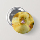 Niedliche Kleintiere | Baby Duck Group Button (Vorne & Hinten)