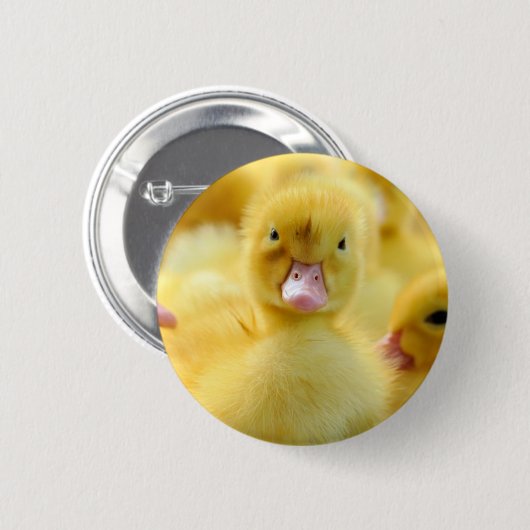 Niedliche Kleintiere | Baby Duck Group Button (Vorne & Hinten)