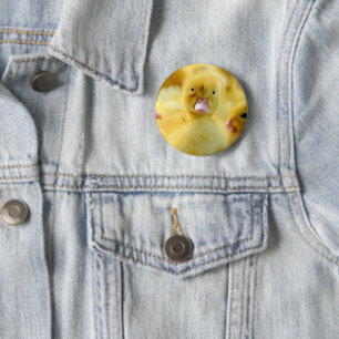 Niedliche Kleintiere Baby Duck Group Button