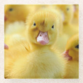Niedliche Kleintiere | Baby Duck Group Glasuntersetzer (Vorderseite)