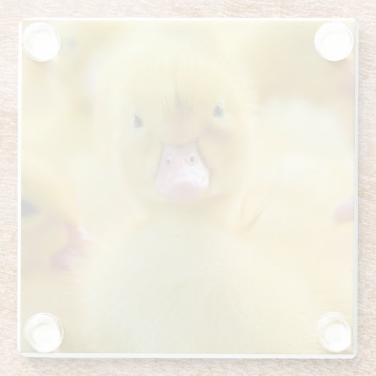 Niedliche Kleintiere | Baby Duck Group Glasuntersetzer (Rückseite)