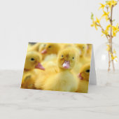 Niedliche Kleintiere | Baby Duck Group Karte (Gelbe Blume)