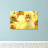 Niedliche Kleintiere | Baby Duck Group Leinwanddruck (Insitu (Holzboden))