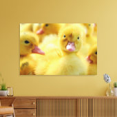 Niedliche Kleintiere | Baby Duck Group Leinwanddruck (Insitu (Wohnzimmer))