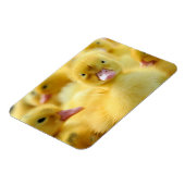Niedliche Kleintiere | Baby Duck Group Magnet (Linke Seite)