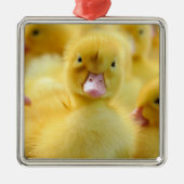 Niedliche Kleintiere | Baby Duck Group Ornament Aus Metall (Vorne)