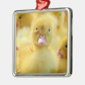 Niedliche Kleintiere | Baby Duck Group Ornament Aus Metall (Links)