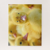 Niedliche Kleintiere | Baby Duck Group Puzzle (Vertikal)