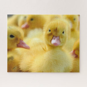 Niedliche Kleintiere   Baby Duck Group Puzzle