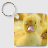 Niedliche Kleintiere | Baby Duck Group Schlüsselanhänger (Vorderseite)
