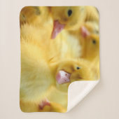 Niedliche Kleintiere | Baby Duck Group Sherpadecke (Vorderseite)