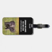 Niedliche Kleintiere | Baby Elephant Kenya Africa Gepäckanhänger (Rückseite horizontal)