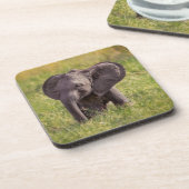 Niedliche Kleintiere | Baby Elephant Kenya Africa Getränkeuntersetzer (Linke Seite)