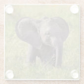 Niedliche Kleintiere | Baby Elephant Kenya Africa Glasuntersetzer (Rückseite)