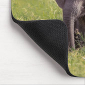 Niedliche Kleintiere | Baby Elephant Kenya Africa Mousepad (Ecke)