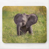Niedliche Kleintiere | Baby Elephant Kenya Africa Mousepad (Vorne)