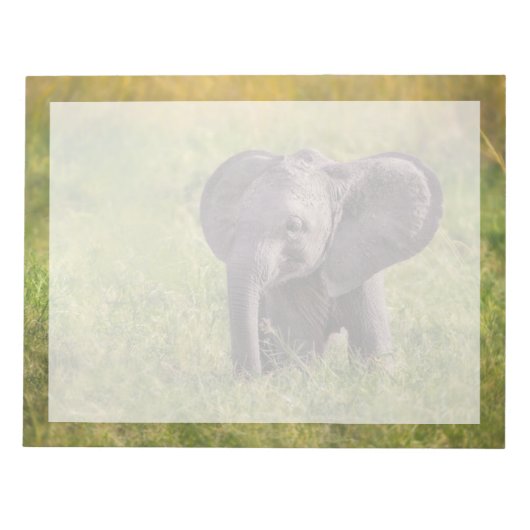 Niedliche Kleintiere | Baby Elephant Kenya Africa Notizblock (Vorderseite)
