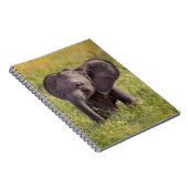 Niedliche Kleintiere | Baby Elephant Kenya Africa Notizblock (Rechte Seite)