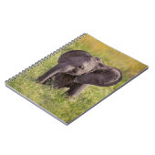 Niedliche Kleintiere | Baby Elephant Kenya Africa Notizblock (Linke Seite)