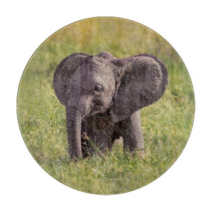 Niedliche Kleintiere   Baby Elephant Kenya Africa Schneidebrett