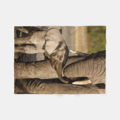 Niedliche Kleintiere | Baby Elephant & Mama Fleecedecke (Vorderseite (Horizontal))