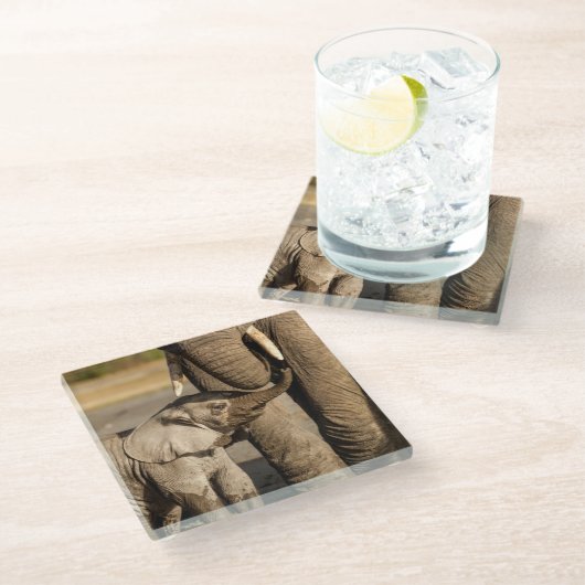 Niedliche Kleintiere | Baby Elephant & Mama Glasuntersetzer (Schrägansicht)