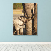 Niedliche Kleintiere | Baby Elephant & Mama Leinwanddruck (Insitu (Holzboden))