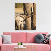 Niedliche Kleintiere | Baby Elephant & Mama Leinwanddruck (Insitu (Wohnzimmer))