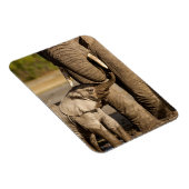 Niedliche Kleintiere | Baby Elephant & Mama Magnet (Rechte Seite)