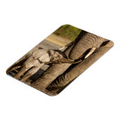 Niedliche Kleintiere | Baby Elephant & Mama Magnet (Linke Seite)