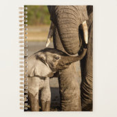 Niedliche Kleintiere | Baby Elephant & Mama Planer (Vorderseite)