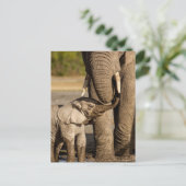 Niedliche Kleintiere | Baby Elephant & Mama Postkarte (Stehend Vorderseite)
