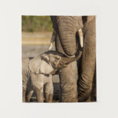 Niedliche Kleintiere | Baby Elephant & Mama Wandteppich (Vorderseite)
