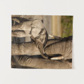 Niedliche Kleintiere | Baby Elephant & Mama Wandteppich (Vorderseite (Horizontal))