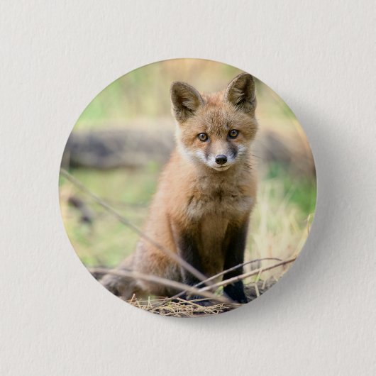 Niedliche Kleintiere | Baby Fox Button (Vorderseite)
