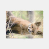Niedliche Kleintiere | Baby Fox Fleecedecke (Vorderseite (Horizontal))