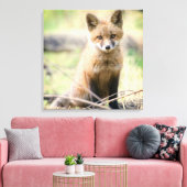 Niedliche Kleintiere | Baby Fox Leinwanddruck (Insitu (Wohnzimmer))