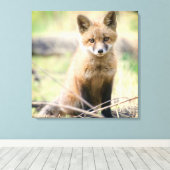 Niedliche Kleintiere | Baby Fox Leinwanddruck (Insitu (Holzboden))